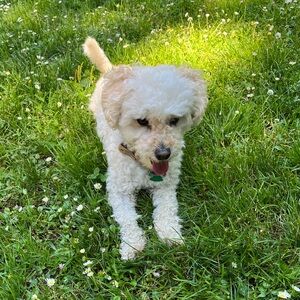 Meet your Posher, Evelin